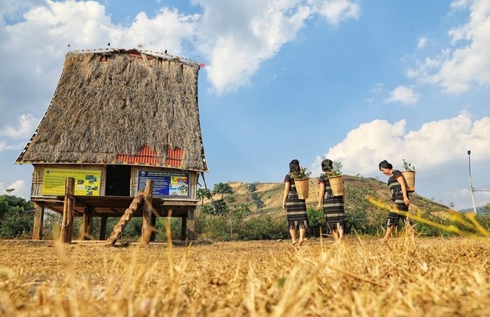 gia lai thuộc miền nào 3